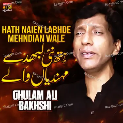 Hath Naien Labhde Mehndian Wale - Single