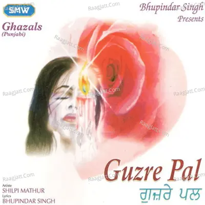 Guzre Pal Poster