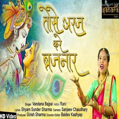 Tose Araj Kare Brijnar Cover
