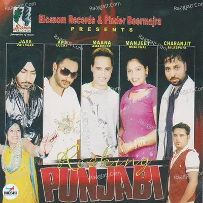 Rocking Punjabi Poster