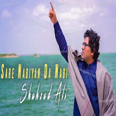 Sare Nabiyan Da Nabi Cover