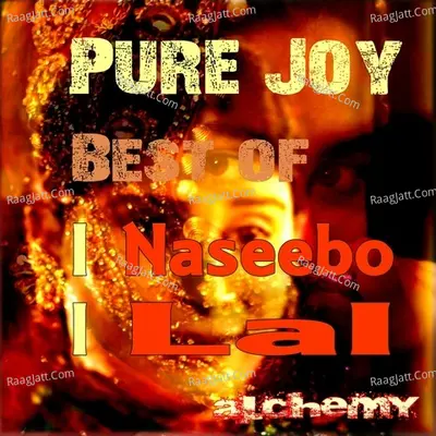 Pure Joy, Vol. 2 (Best Of) - Naseebo Lal