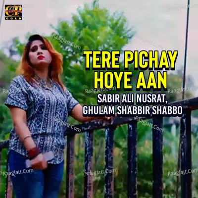 Ghulam Shabbir Shabbo