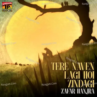 Tere Naven Lagi Hoi Zindagi Poster