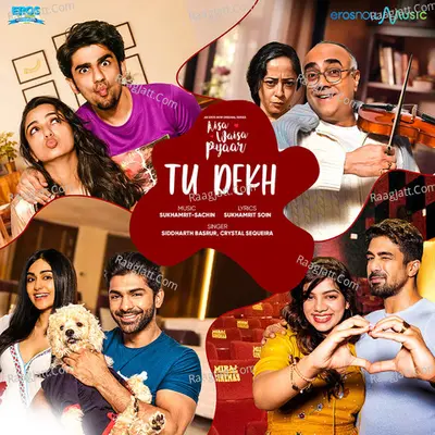 Tu Dekh Cover