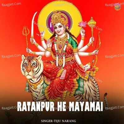 Tiju Narang Image