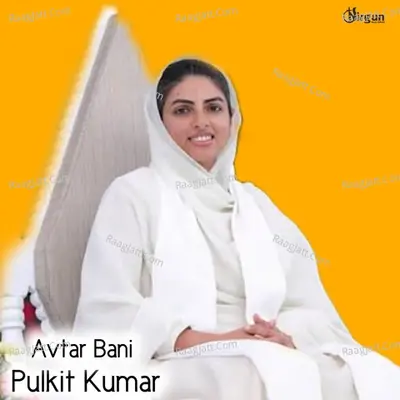 Pulkit Kumar Nm