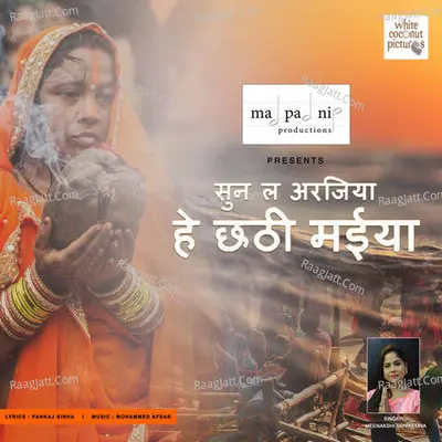 Meenakshi Srivastava