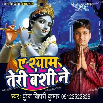 Ae Shyam Teri Banshi Ne Poster