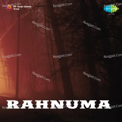 Rahnuma Poster