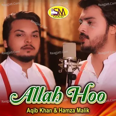 Hamza Malik Image
