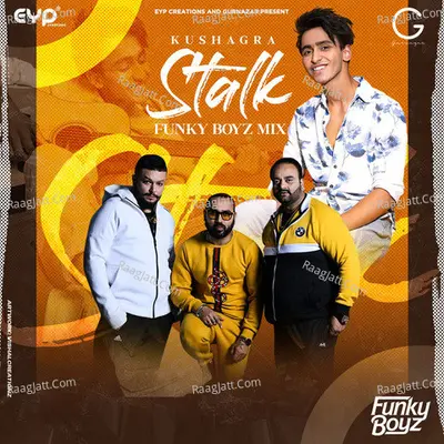 Stalk (Remix) Cover
