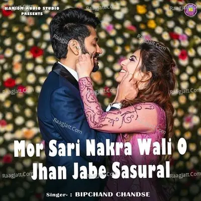 Mor Sari Nakra Wali O Jhan Jabe Sasural Cover