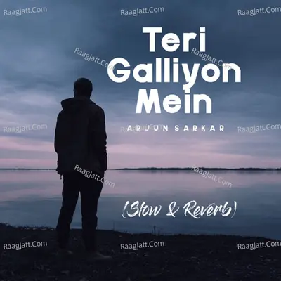 Teri Galliyon Mein (Slow & Reverb)