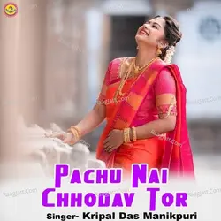 Pachu Nai Chhodav Tor