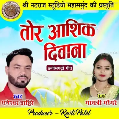 Tor Aashiq Diwana (Chhattisgarhi Geet) Cover