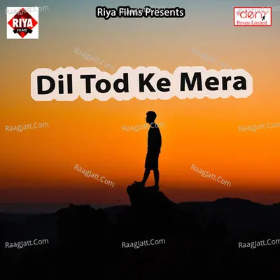 Dil Tod Ke Mera Poster
