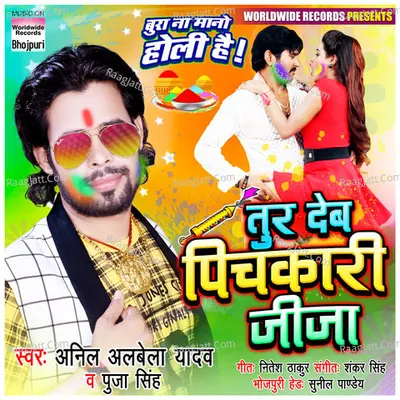 Tur Deb Pichkari Jija Cover