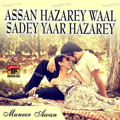 Assan Hazarey Waal Sadey Yaar Hazarey Poster