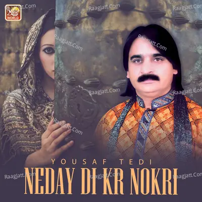 Neday Di Kr Nokri Poster
