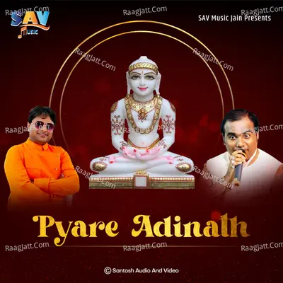 Vipin Porwal Image