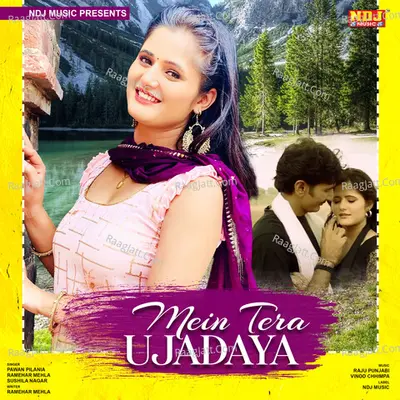 Mein Tera Ujadaya Cover