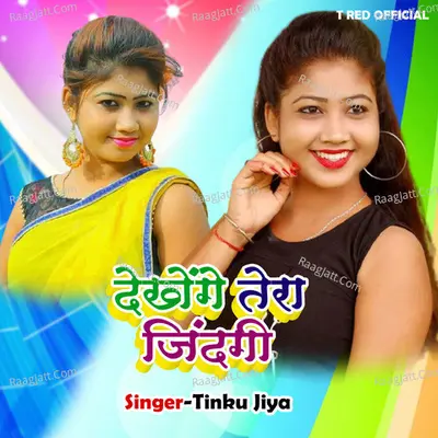 Dekhenge Tera Zindagi Cover