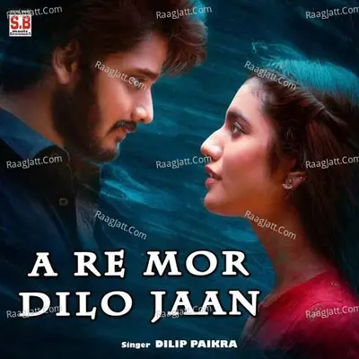 A Re Mor Dilo Jaan