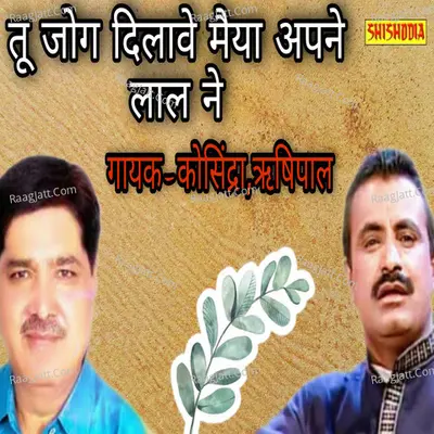 Tu Jog Divave Maiya Apne Lal Ne Cover