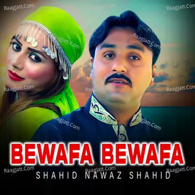 Shahid Nawaz Shahid
