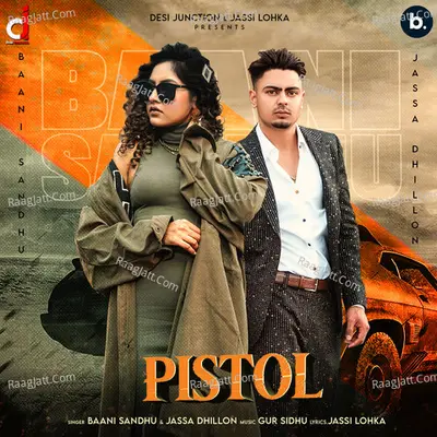 Pistol Cover