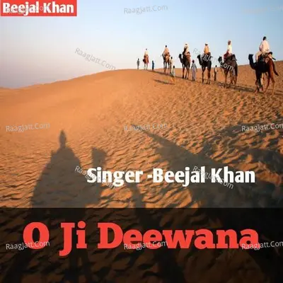 Beejal Khan Image