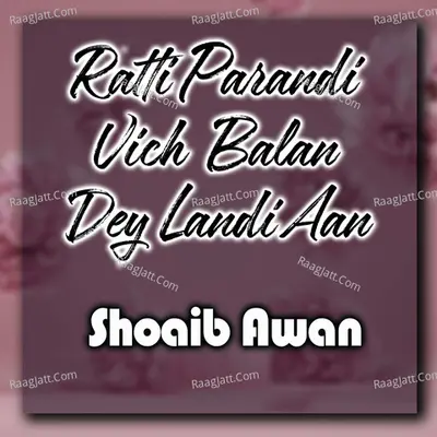 Shoaib Awan Image
