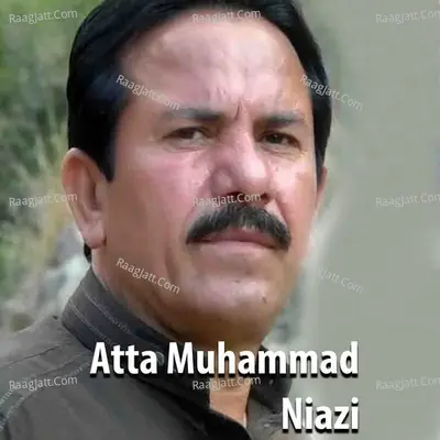 Atta Muhammad Niazi, Vol. 1 Poster