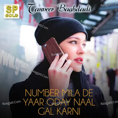 Number Mila De Yaar Oday Naal Gal Karni - Single Cover
