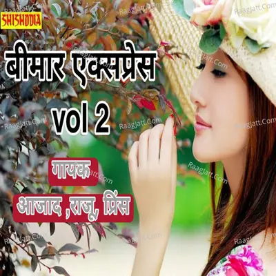 Bimar express vol 02 ..comedy Cover