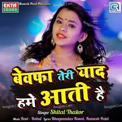 Bewafa Teri Yaad Hame Aati Hain Cover