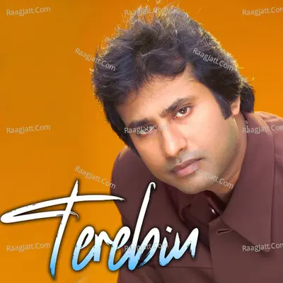 Terebin Cover