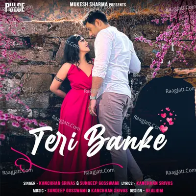 Teri Banke Cover