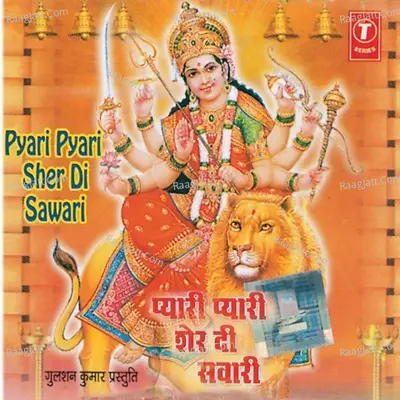 Pyari Lage Sher Di Sawari Poster