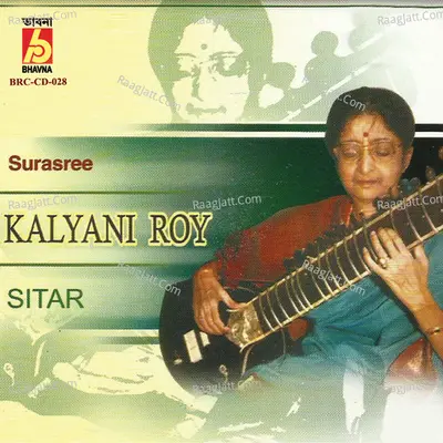 Sitar Poster