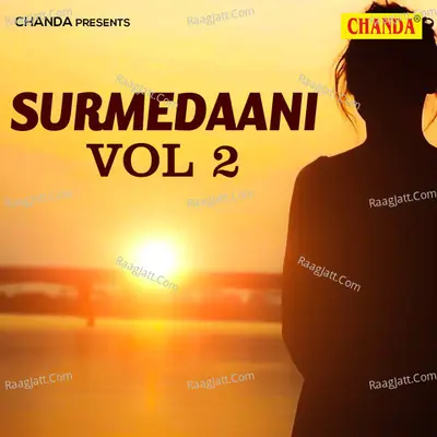Surmedaani Vol 2 Poster
