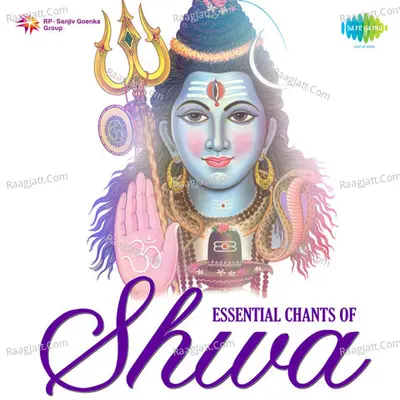 Essential Chants Of Shiva Poster