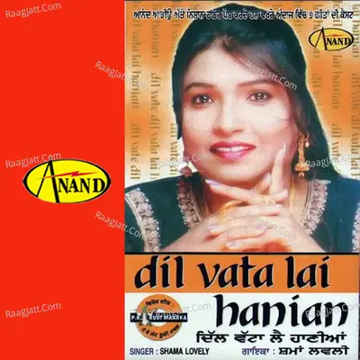 Dil Vata Lai Haniya Poster