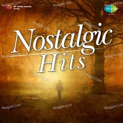 Nostalgic Hits - S. D. Burman