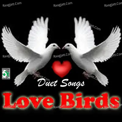Love Birds Poster