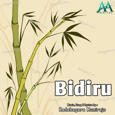 Bidiru