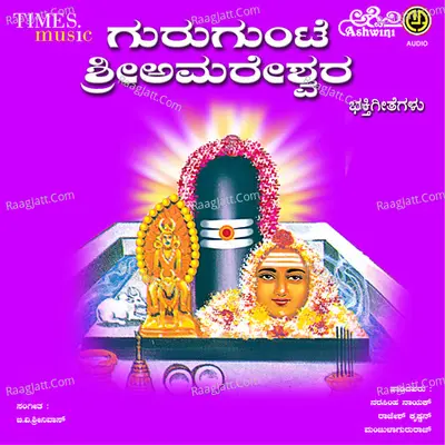 Gurugunte Sri Amareshwara Bhakthigeethegalu - B.v.srinivas