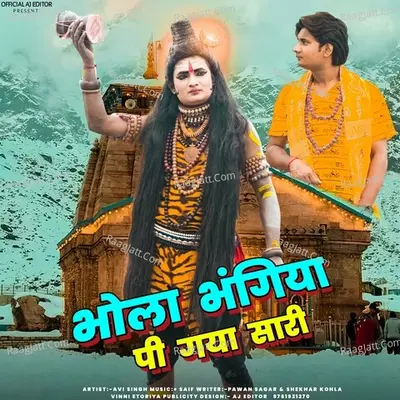 Bhola bhangiya Pi Gaya sari