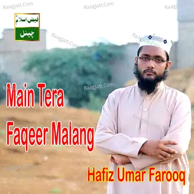Main Tera Faqeer Malang Poster